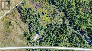 22934 62 HIGHWAY S Limerick Ontario photo 9