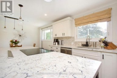 276 PARK ROAD N Oshawa (McLaughlin) Ontario photo 11