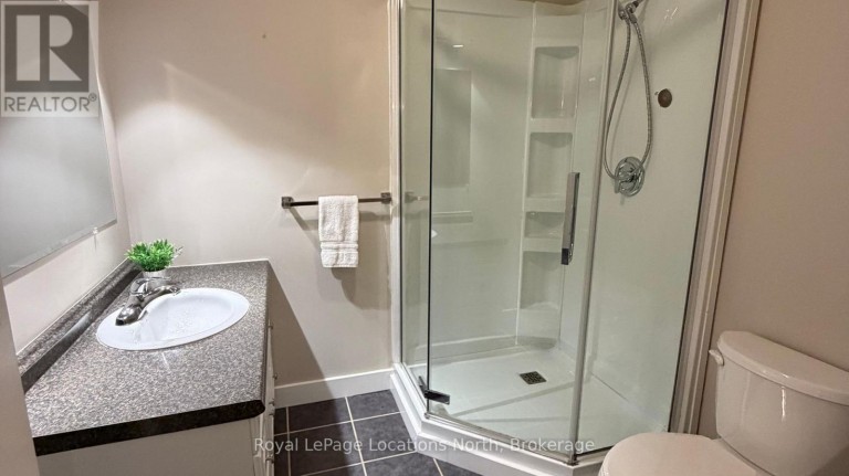 LOWER UNIT - 37 DAVIS STREET, Collingwood, Ontario, L9Y0E2