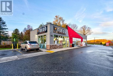 87 GARAFRAXA STREET Chatsworth Ontario photo 4