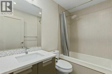 925 41 Street SW Calgary Alberta photo 29