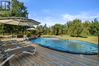 278 COUNTY ROAD 4 ROAD Douro-Dummer Ontario photo 37