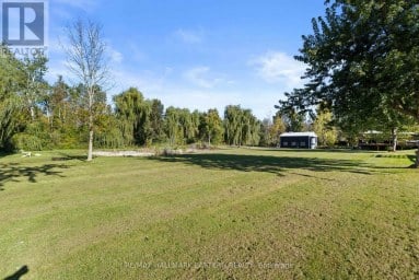 278 COUNTY ROAD 4 ROAD Douro-Dummer Ontario photo 44