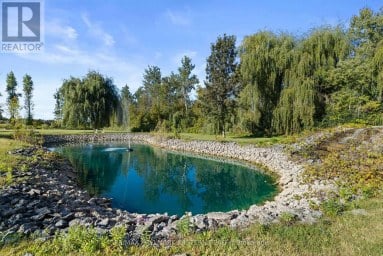 278 COUNTY ROAD 4 ROAD Douro-Dummer Ontario photo 45