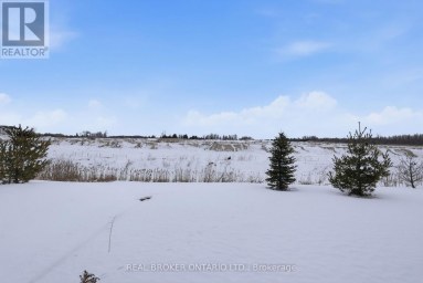 38 SANDHILL CRANE DRIVE Wasaga Beach Ontario photo 28