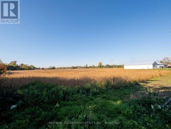 233 TALBOT STREET Norfolk (Courtland) Ontario photo 27
