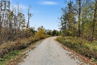 9417 91 COUNTY ROAD Clearview Ontario photo 2