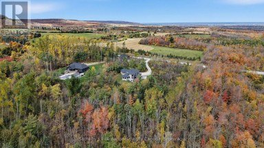 9417 91 COUNTY ROAD Clearview Ontario photo 49