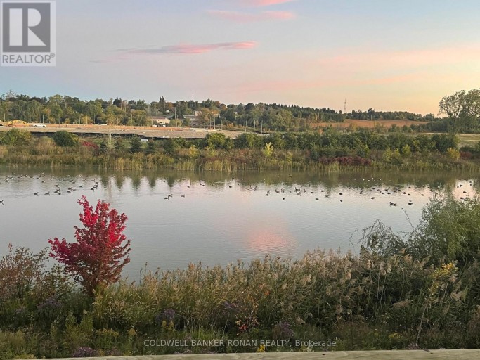 BASEMENT - 112 CONNELL DRIVE, Georgina (Keswick North), Ontario, L4P0K3