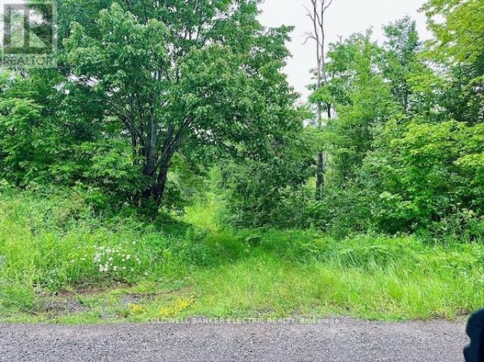 000 LASSWADE ROAD, North Kawartha, Ontario, K0L1A0