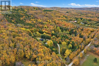 529802 OSPREY THE BLUE MOUNTAINS TOWNLINE Grey Highlands Ontario photo 39