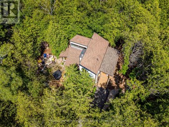 157 WOODLAND PARK ROAD Blue Mountains Ontario photo 3