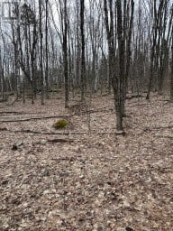0 PROVIDENCE DRIVE Algonquin Highlands (Stanhope) Ontario photo 1