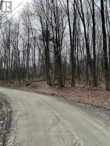 0 PROVIDENCE DRIVE, Algonquin Highlands (Stanhope), Ontario, K0M1S0