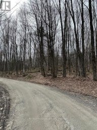 0 PROVIDENCE DRIVE Algonquin Highlands (Stanhope) Ontario photo 2