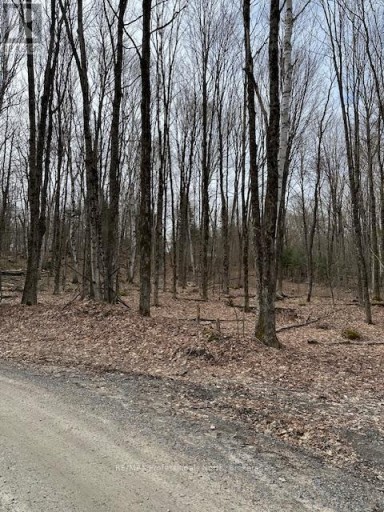 0 PROVIDENCE DRIVE, Algonquin Highlands (Stanhope), Ontario, K0M1S0