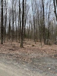 0 PROVIDENCE DRIVE Algonquin Highlands (Stanhope) Ontario photo 4