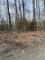 0 PROVIDENCE DRIVE Algonquin Highlands (Stanhope) Ontario photo 5