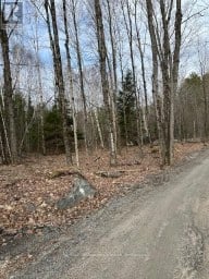 0 PROVIDENCE DRIVE Algonquin Highlands (Stanhope) Ontario photo 6
