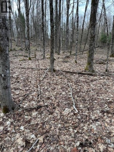 0 PROVIDENCE DRIVE, Algonquin Highlands (Stanhope), Ontario, K0M1S0