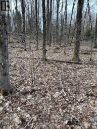 0 PROVIDENCE DRIVE Algonquin Highlands (Stanhope) Ontario photo 8