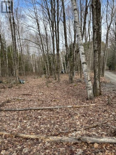 0 PROVIDENCE DRIVE, Algonquin Highlands (Stanhope), Ontario, K0M1S0