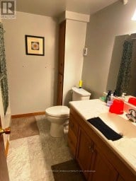 30 ADELAIDE STREET S Kawartha Lakes (Lindsay) Ontario photo 29