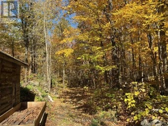 351 STATION ROAD Marmora and Lake (Marmora Ward) Ontario photo 28