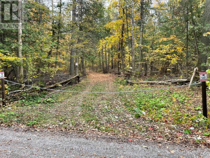 0 LITTLE SILVER LAKE ROAD, Trent Lakes, Ontario, K0M1A0
