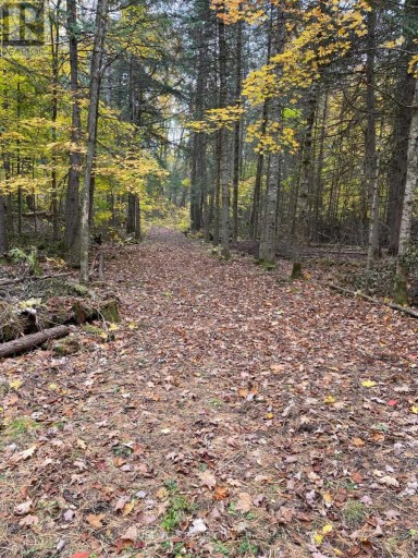 0 LITTLE SILVER LAKE ROAD, Trent Lakes, Ontario, K0M1A0
