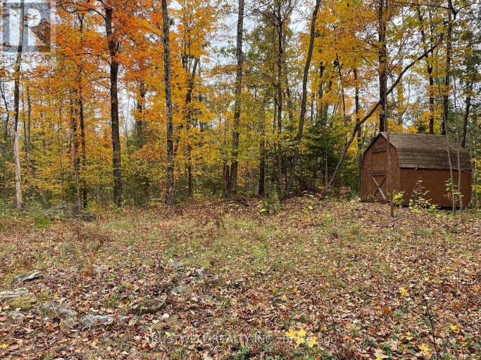 0 LITTLE SILVER LAKE ROAD, Trent Lakes, Ontario, K0M1A0