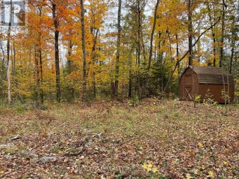 0 LITTLE SILVER LAKE ROAD Trent Lakes Ontario photo 3