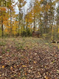 0 LITTLE SILVER LAKE ROAD Trent Lakes Ontario photo 4