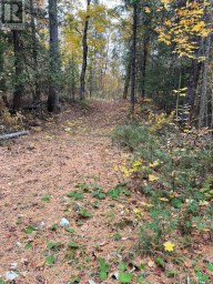 0 LITTLE SILVER LAKE ROAD Trent Lakes Ontario photo 5