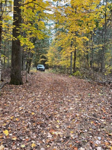 0 LITTLE SILVER LAKE ROAD, Trent Lakes, Ontario, K0M1A0