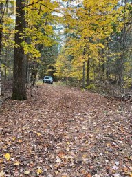 0 LITTLE SILVER LAKE ROAD Trent Lakes Ontario photo 6