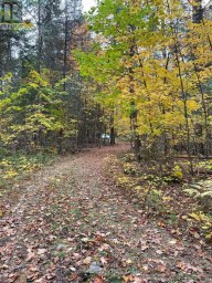 0 LITTLE SILVER LAKE ROAD Trent Lakes Ontario photo 7