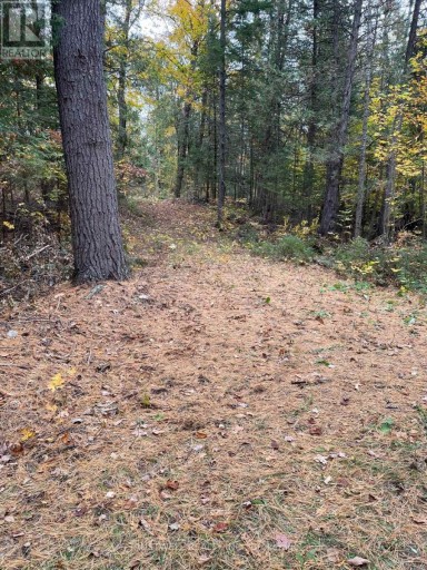 0 LITTLE SILVER LAKE ROAD, Trent Lakes, Ontario, K0M1A0
