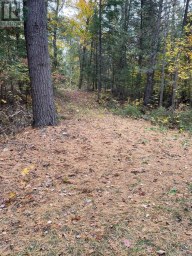 0 LITTLE SILVER LAKE ROAD Trent Lakes Ontario photo 8