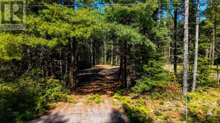 536 PINE STREET, Greater Madawaska, Ontario, K0J2R0