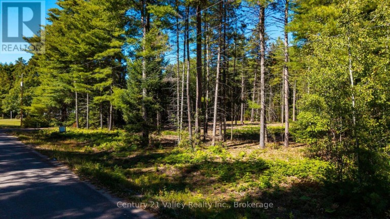 536 PINE STREET, Greater Madawaska, Ontario, K0J2R0