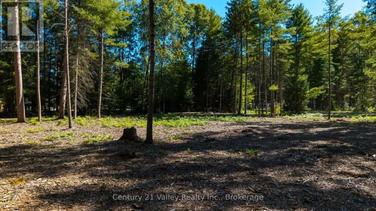 536 PINE STREET, Greater Madawaska, Ontario, K0J2R0