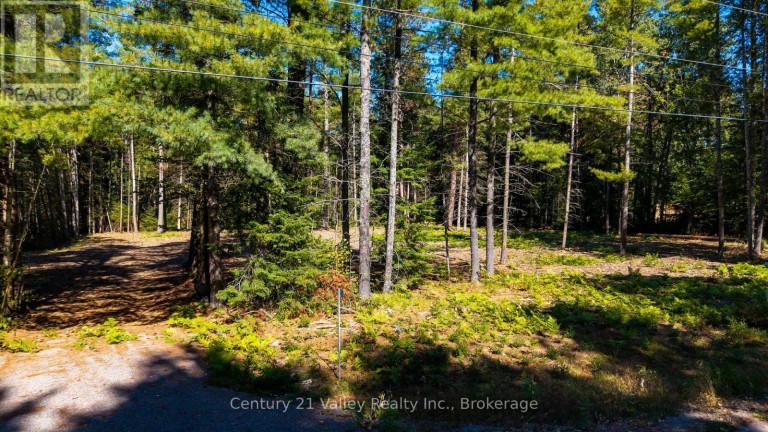 536 PINE STREET, Greater Madawaska, Ontario, K0J2R0