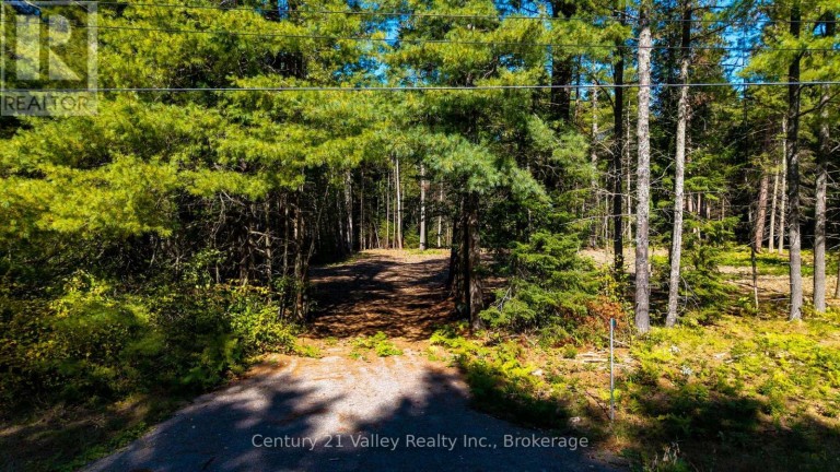 536 PINE STREET, Greater Madawaska, Ontario, K0J2R0