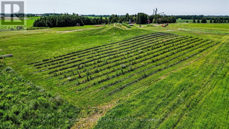 333329 7TH LINE, Amaranth, Ontario, L9W0K8