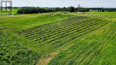 333329 7TH LINE Amaranth Ontario photo 49