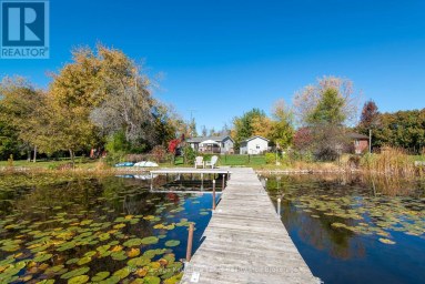 222 O'REILLY LANE Kawartha Lakes (Little Britain) Ontario photo 42