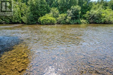 133 COOKS MILL ROAD Puslinch Ontario photo 35
