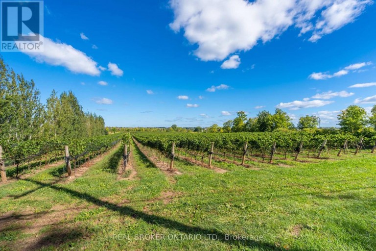 3811 KING STREET, Lincoln (Beamsville), Ontario, L0R1B1