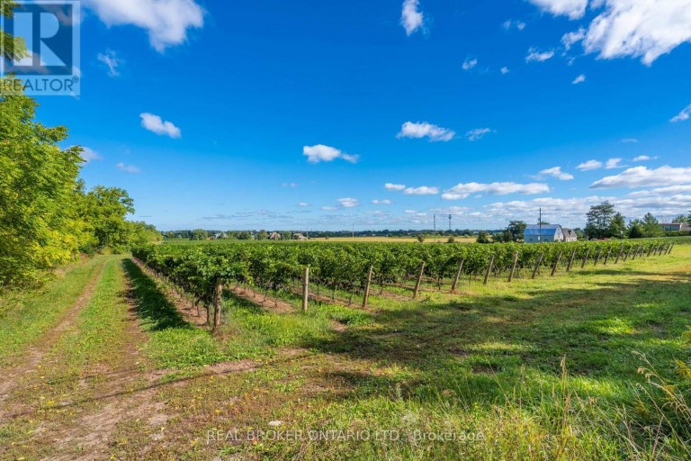 3811 KING STREET, Lincoln (Beamsville), Ontario, L0R1B1